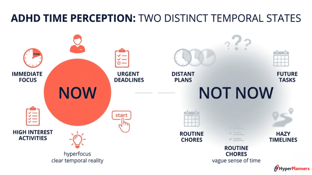 ADHD Time Blindness Now vs Not Now Diagram — HyperPlanners Diagram showing how ADHD time blindness splits time into "now" and "not now" with nothing in between